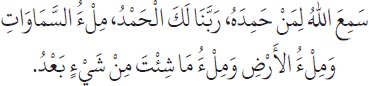 Arabic text from the source edition