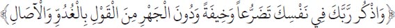 Arabic text from the source edition