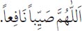 Arabic text from the source edition
