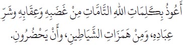 Arabic text from the source edition