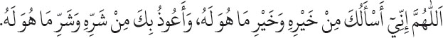 Arabic text from the source edition