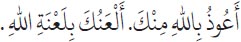 Arabic text from the source edition