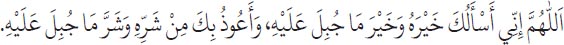 Arabic text from the source edition