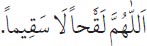 Arabic text from the source edition