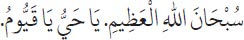 Arabic text from the source edition