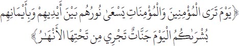 Arabic text from the source edition