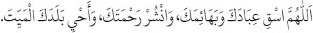 Arabic text from the source edition