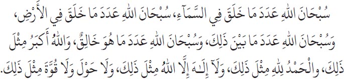 Arabic text from the source edition