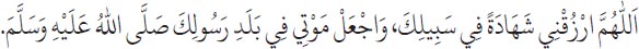 Arabic text from the source edition