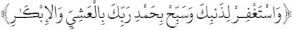 Arabic text from the source edition